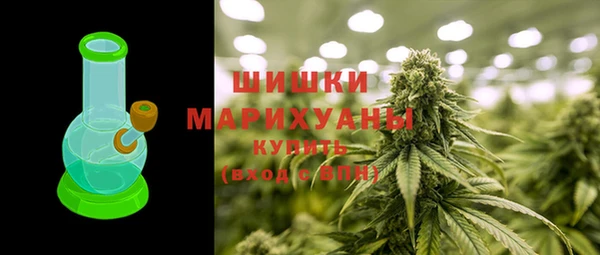 гашик Аркадак