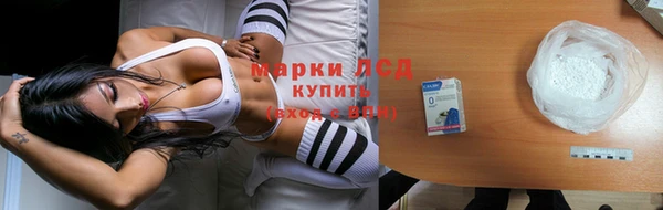 spice Арсеньев