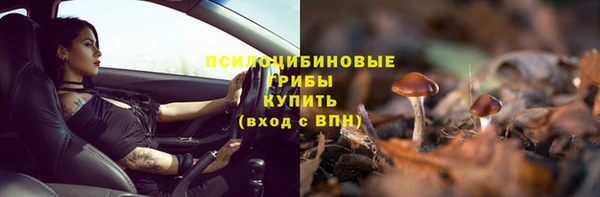 spice Арсеньев