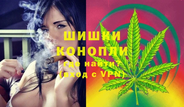 spice Арсеньев