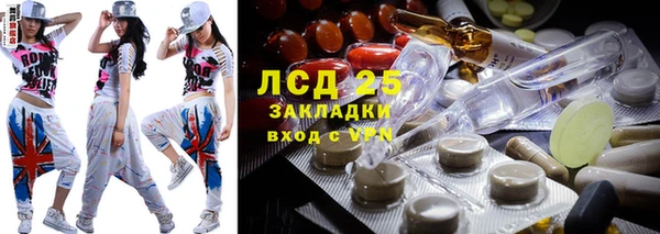 гашик Аркадак