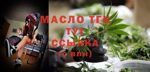 гашик Аркадак