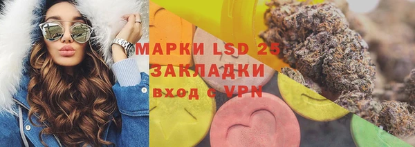 гашик Аркадак