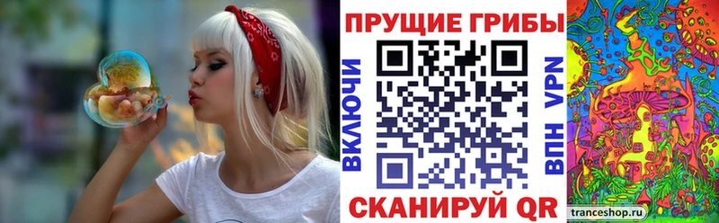 Купить где  Тарко-Сале  Галлюциногенные грибы мицелий 